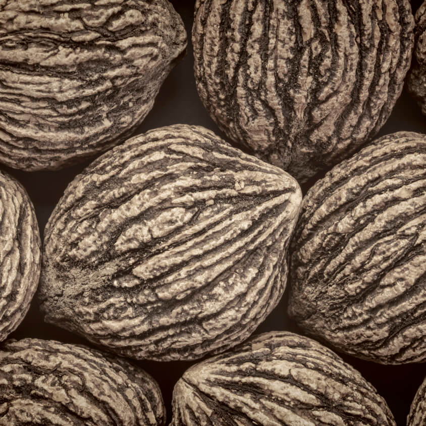 BLACK WALNUT
