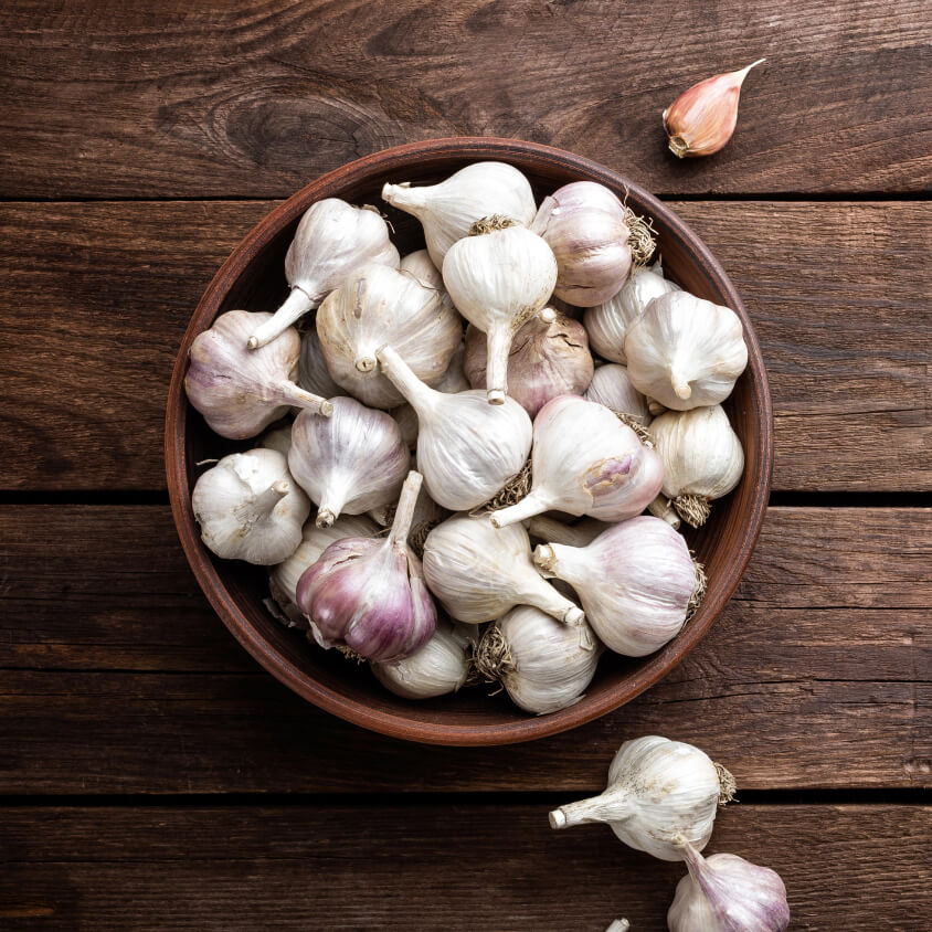 GARLIC EXTRACT